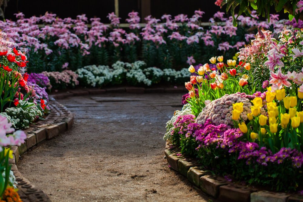 Garden:Cozf9yrvwri= Flowers: A Guide To Transforming Your Garden With Stunning Flowers